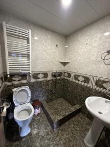 a bathroom with a toilet and a sink at Apartment Nikolo in Stepantsminda