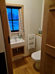 a bathroom with a toilet and a sink and a window at Milberry Green Meadows in Warlingham