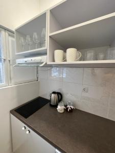 Η κουζίνα ή μικρή κουζίνα στο Dusan knez mihailova city center apartment obilicev venac +7 φωτογραφίες