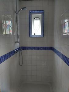 a bathroom with a shower with a mirror and a window at Tiny home Texel in Den Burg