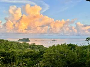 a view of a beach with trees and the ocean at An abundance of wildlife at Jungle Glory Home in Manuel Antonio