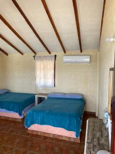 Galería fotográfica de Hotel Coconuts en Tecpan de Galeana
