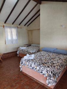 Zimmer mit 2 Betten und einem Fenster in der Unterkunft Hotel Coconuts in Tecpan de Galeana