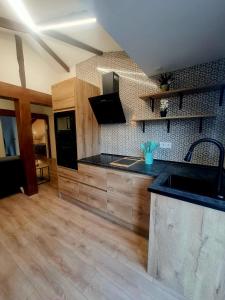 uma cozinha com um lavatório e uma bancada em Apartamento Moises em Santander