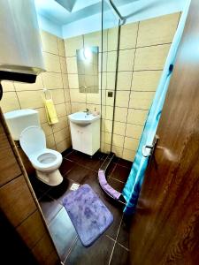 La salle de bains est pourvue de toilettes, d'un lavabo et d'une douche. dans l'établissement Casa Andrei, à Eşelniţa