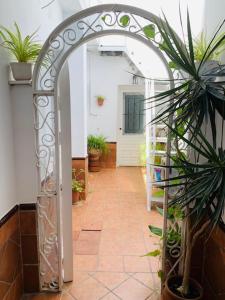 korytarz z łukiem z doniczkowymi roślinami i drzwiami w obiekcie Petit Room, Habitación w mieście Conil de la Frontera
