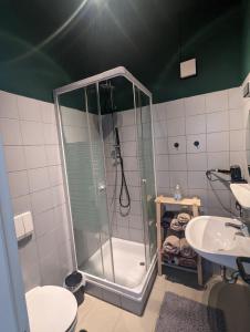 a bathroom with a shower and a toilet and a sink at Schönes Apartment am Rhein - Zentral in Koblenz