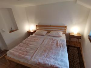 a bedroom with a large bed with two night stands at Apartment PIKAPOLONICA in Bled