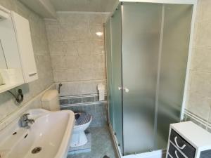 a bathroom with a shower and a sink and a toilet at Apartment PIKAPOLONICA in Bled