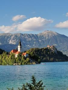 a church on an island in the middle of a body of water at Apartment PIKAPOLONICA in Bled
