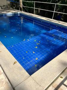 a swimming pool with blue tiles on the ground at Chalé em Barreirinhas in Barreirinhas