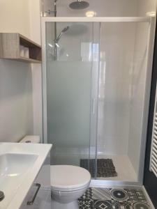a bathroom with a shower and a toilet and a sink at Gîte des granges in Alençon +3 photos