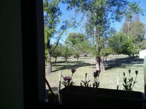 Un jardín fuera de La Casita del Bosque
