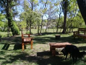 Un jardín fuera de La Casita del Bosque