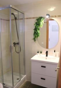 a bathroom with a shower and a sink and a mirror at Brisa Mar in Málaga