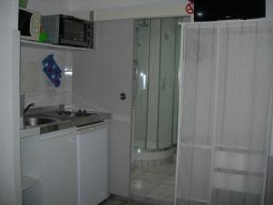 a bathroom with a shower and a sink and a shower at studio 66 in Caumont-sur-Durance