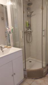 een badkamer met een douche en een witte wastafel bij studio 66 in Caumont-sur-Durance