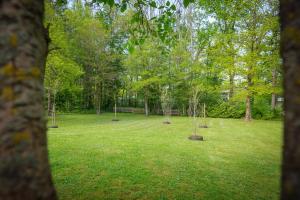 un parque con árboles en medio de un campo en Villa VALY 4 adultes et 2 enfants, en Durbuy
