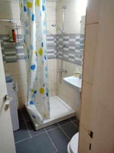 een badkamer met een douchegordijn en een wastafel bij Mikis Studio Type Aprt. in Larnaka