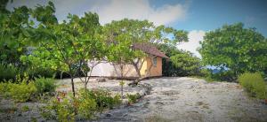 ファカラヴァ環礁にあるFAKARAVA - Teariki Lodge 2の木々の間の小屋