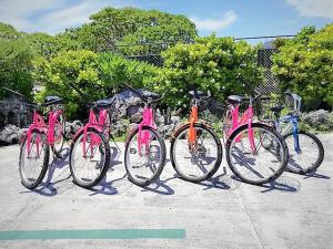 eine Gruppe rosafarbener Fahrräder, die in einer Reihe geparkt werden in der Unterkunft FAKARAVA - Teariki Lodge 2 in Fakarava