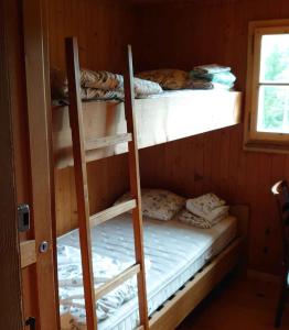 two bunk beds in a room with a window at Kunst- und Naturfreundehaus Brünig in Lungern