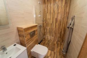 een badkamer met een toilet, een wastafel en een douche bij Wilki2 in Wetlina