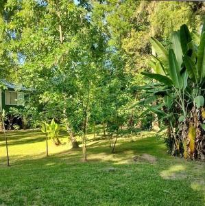 a park with trees and green grass and a house at Isla Pupe in Tigre