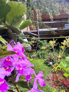 Papagalleros的住宿－Natural Luxury Hotel，长凳前方种有粉红色花的花园