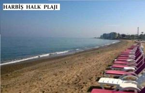 una playa con una fila de sillas de playa. en mai AK pansiyon, en Çınarcık