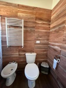 a bathroom with a toilet and a sink at Cabañas PH in Trevelin