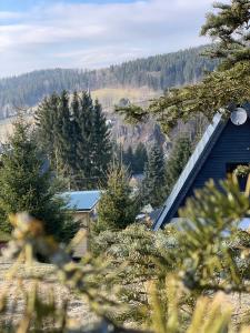 dom z choinkami przed nim w obiekcie Kleines Chalet im Erzgebirge mit Sauna und Kamin w mieście Rechenberg-Bienenmühle