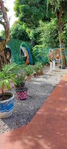 a garden with potted plants and a painting on the wall at Aldeia Hostel II in Manaus