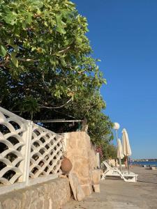 a tree on the beach with chairs and umbrellas at Luni in Zadar