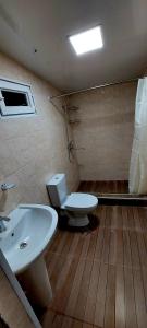 Wooden House Garetke في باتومي: حمام مع مرحاض ومغسلة