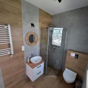 a bathroom with a sink and a shower and a toilet at Lobeliowe Zacisze Sominy in Sominy