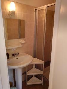 La salle de bains est pourvue d'un lavabo et d'une douche. dans l'établissement La Belle Charbonnière, à La Grande Fosse