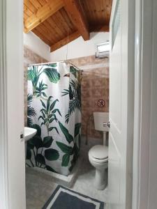 a bathroom with a toilet and a shower curtain with plants at Demis Apartments in Sidari