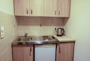 a small kitchen with a sink and a stove at Nature View Vacation Flat in Ulcinj, Montenegro in Ulcinj