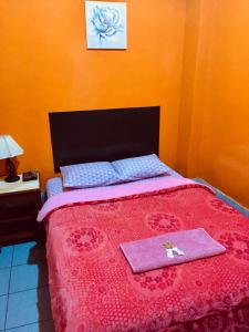 利馬的住宿－KORICANCHA，一间卧室配有一张带粉色毯子的床