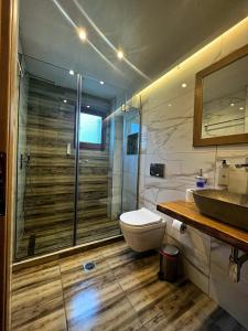 W łazience znajduje się prysznic, toaleta i umywalka. w obiekcie Thassos Inn w mieście Panagia