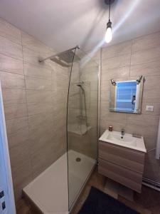 uma casa de banho com um chuveiro e um lavatório. em Le Rétro em Saint-Laurent-sur-Saône