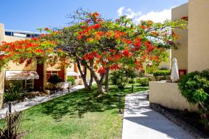 ein Baum mit roten Blüten in einem Hof in der Unterkunft Bungalow Costa Adeje El Cortijo 2-9 in Playa de las Americas