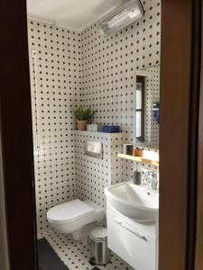 a bathroom with a white toilet and a sink at 1 Zimmer Whg Waldfischbach in Waldfischbach-Burgalben