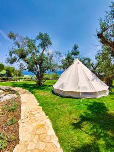 a white tent in the grass next to a path at La Nuova Tenda di Casa Camilla Journey in Marina Serra