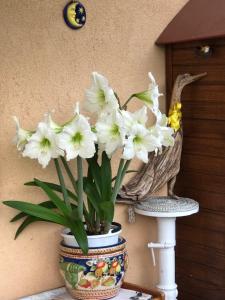 Foto dalla galleria di Sensory Garden a San Daniele del Friuli