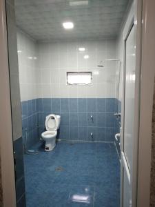 uma casa de banho com WC num quarto com azulejos azuis em Mountain view Villa em Gabala