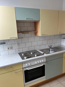 Kuchyň nebo kuchyňský kout v ubytování Apartment Regina, schnelles Internet + 8 fotografií