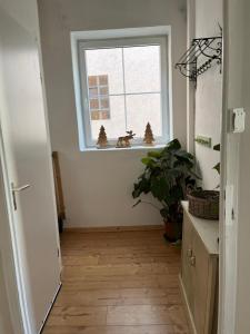 a hallway with a window with two animals on a window sill at Villa Augustina in Fürstenfeldbruck