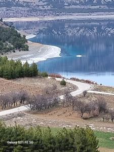 arial view of a river with trees and water at RAINFORT APART salda gölü kiralık apart in Yeşilova